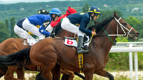 horse racing